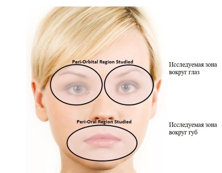 Изображение 1 – Схематичное изображение выбранных для исследования зон вокруг глаз и губ.